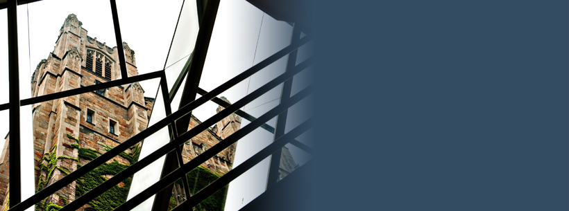 MLaw Students, Alumni Awarded Fellowships for Public Service in United States, Abroad MLaw Students, Alumni Awarded Fellowships for Public Service in United States, Abroad