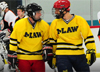 MLaw hockey team