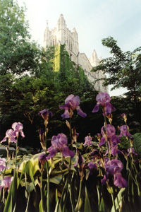 Slideshow Image 6