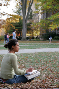 Slideshow Image 8