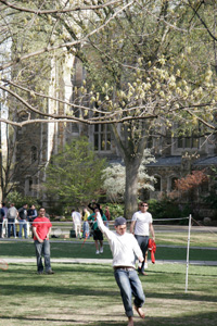 Slideshow Image 12