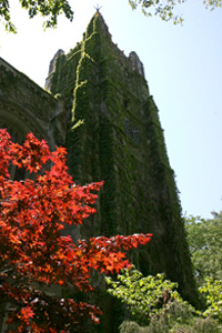 Slideshow Image 19