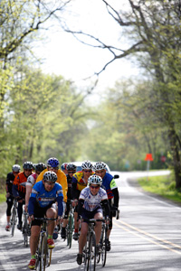 Slideshow Image 5