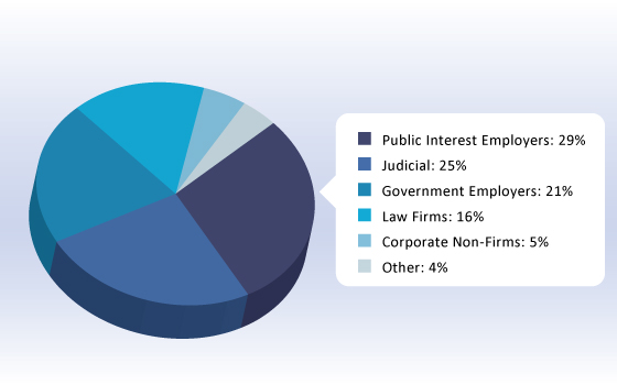 1L Job Statistics, Summer 2011