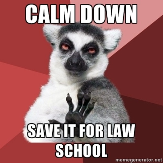 Chill lemur sez