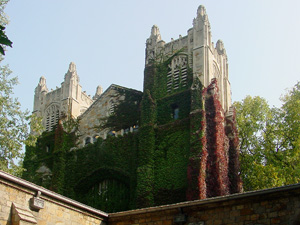 
Reading Room exterior covered in autumn ivy
       