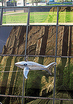 
Students with a sense of humor added sharks to the window-well.
  			