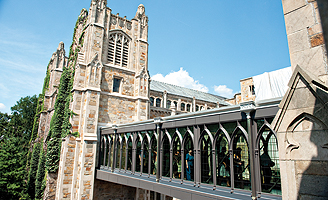 Slideshow Image 8