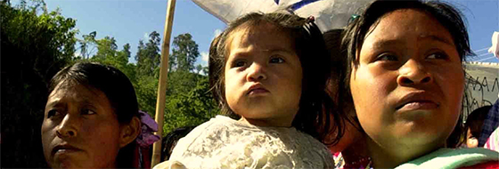 Indigenous Peoples’ Struggle for Autonomy and Human Rights in Chiapas, Mexico