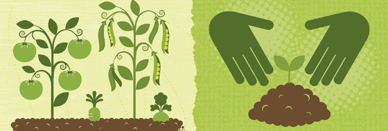 Composting at Michigan Law