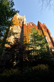 Slideshow Image 1