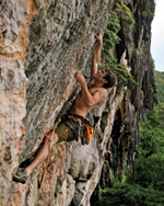 Joey Friedmann
